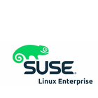 Technology partner