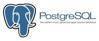 Technology partner
