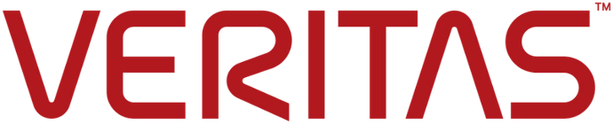 Technology partner