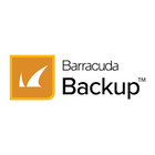 Technology partner