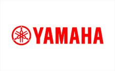 Technology partner